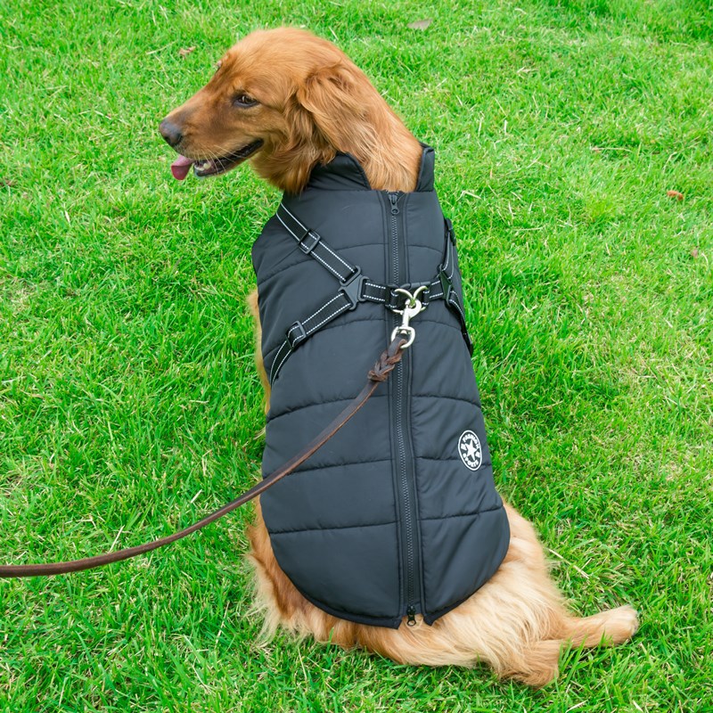 Winter Dog Jacket With Harness