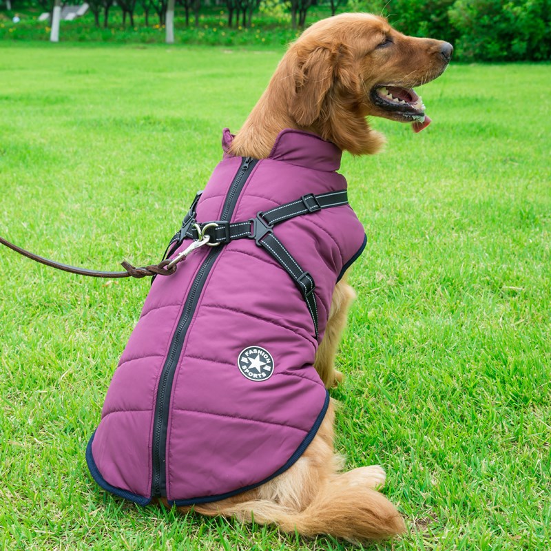 Winter Dog Jacket With Harness