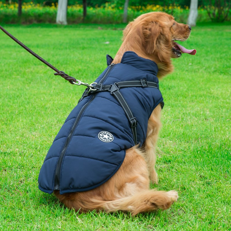 Winter Dog Jacket With Harness