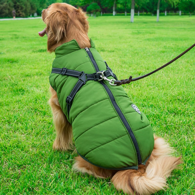 Winter Dog Jacket With Harness