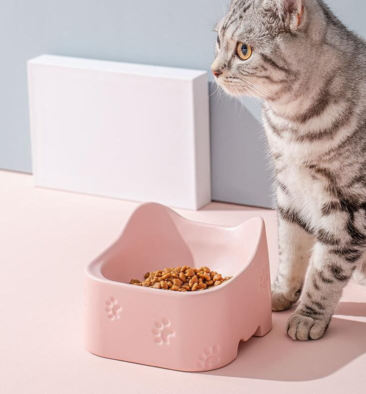 Ceramic Bowl For Pets